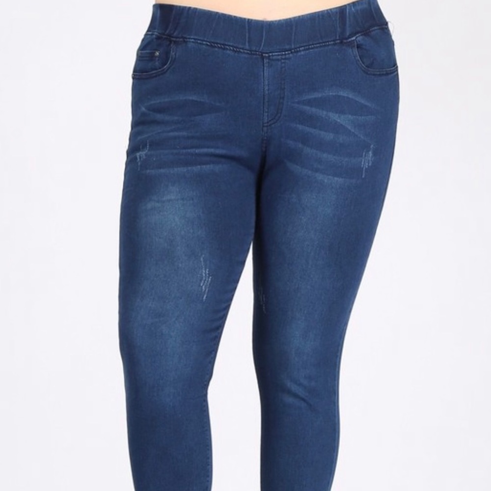 NWT Curvy Girl Skinny Jeans